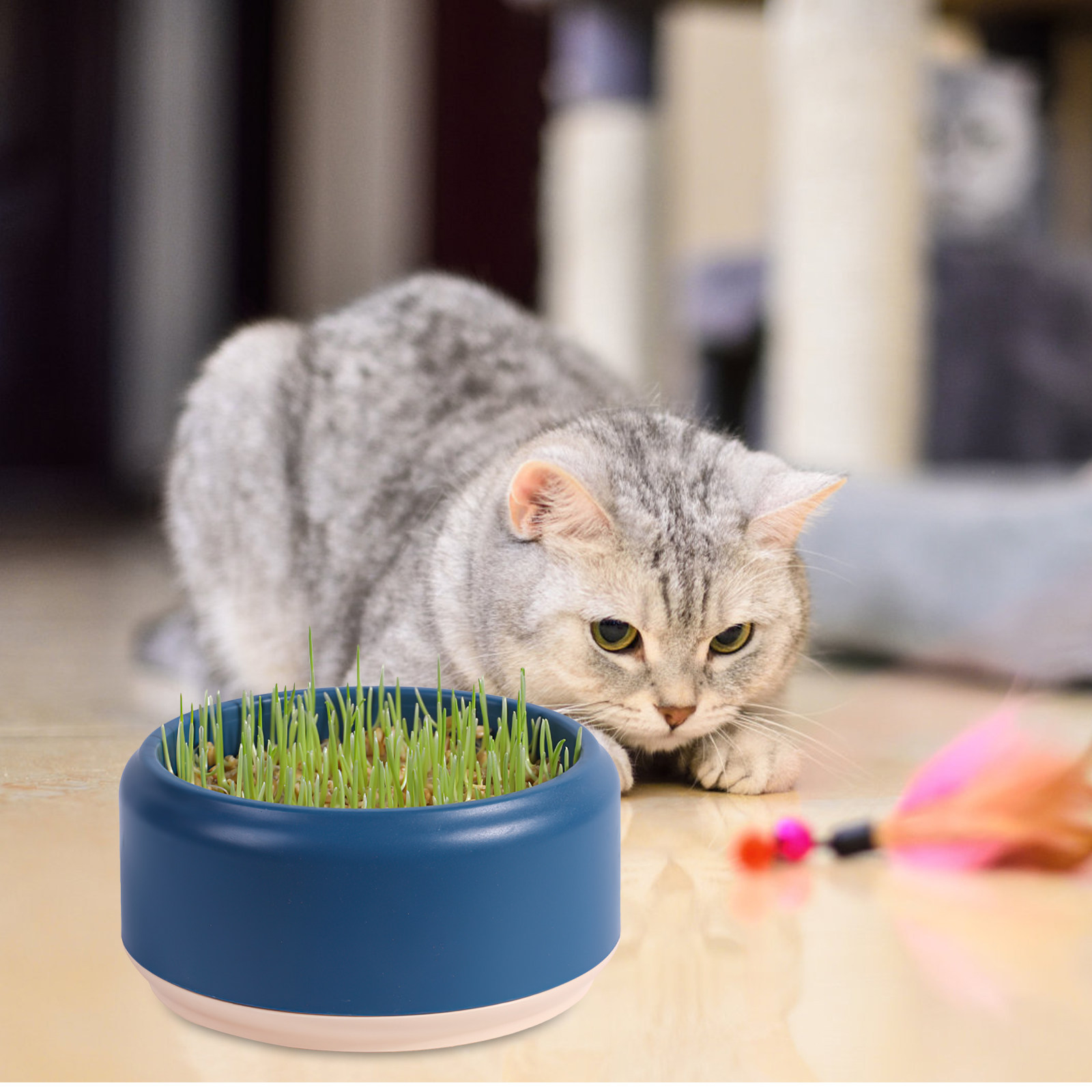 Seed Planter - Soilless Cat Grass Planting Box Hydroponic