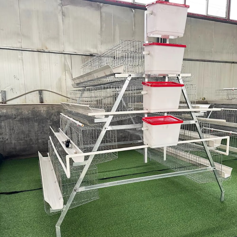 Cheap Price Poultry Farm 10000 - Farming Africa review and price