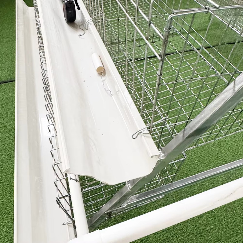 Cheap Price Poultry Farm 10000 - Farming Africa review and price