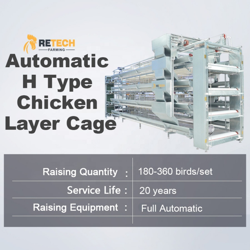Automatic H Type Layer Cage So - Farming Africa review and price