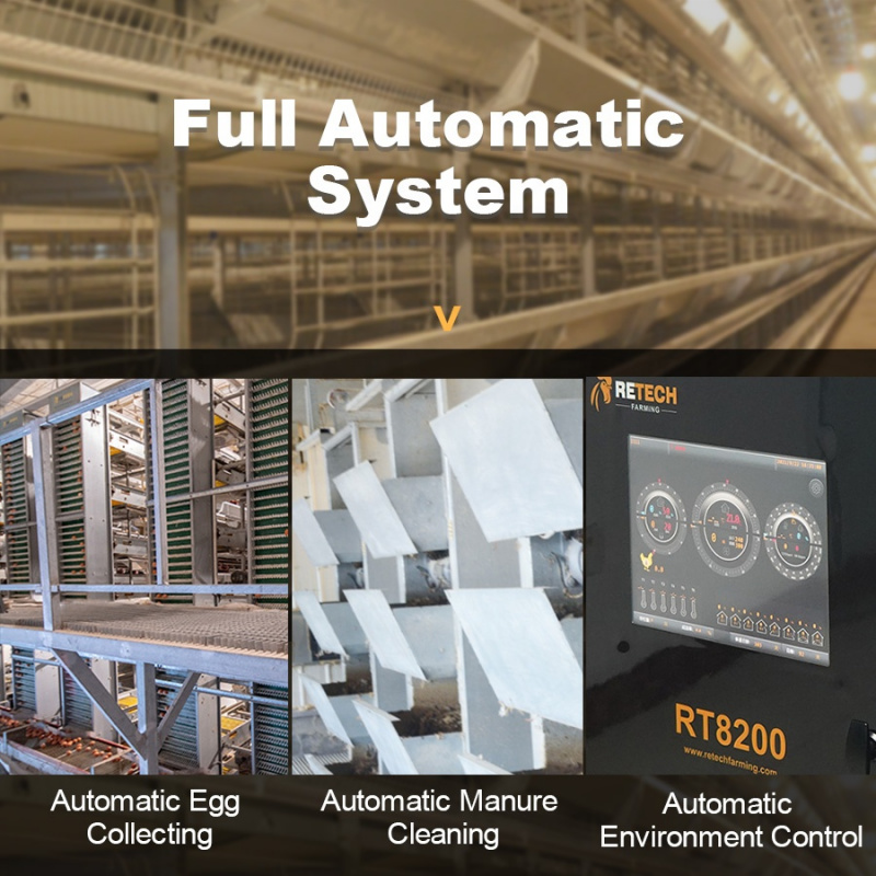 Automatic H Type Layer Cage So - Farming Africa review and price
