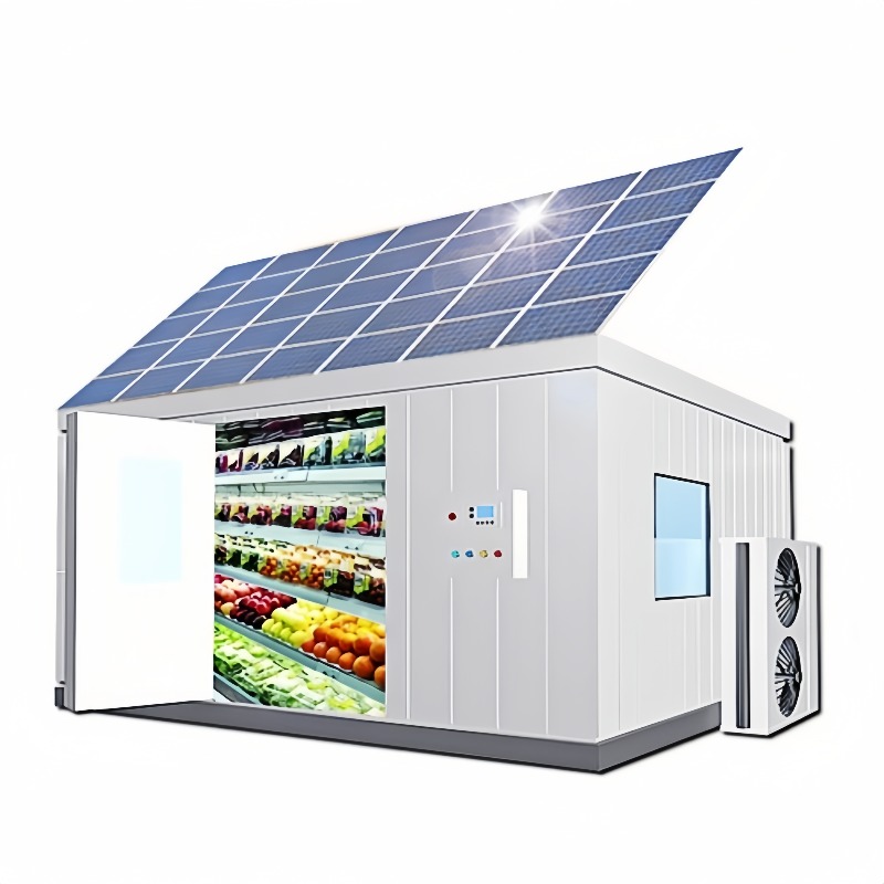 Solar Walk in Cold Storage Roo - Farming Africa review and price
