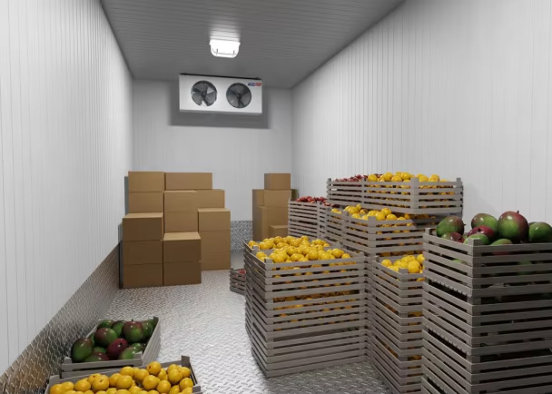 Solar Walk in Cold Storage Roo - Farming Africa review and price