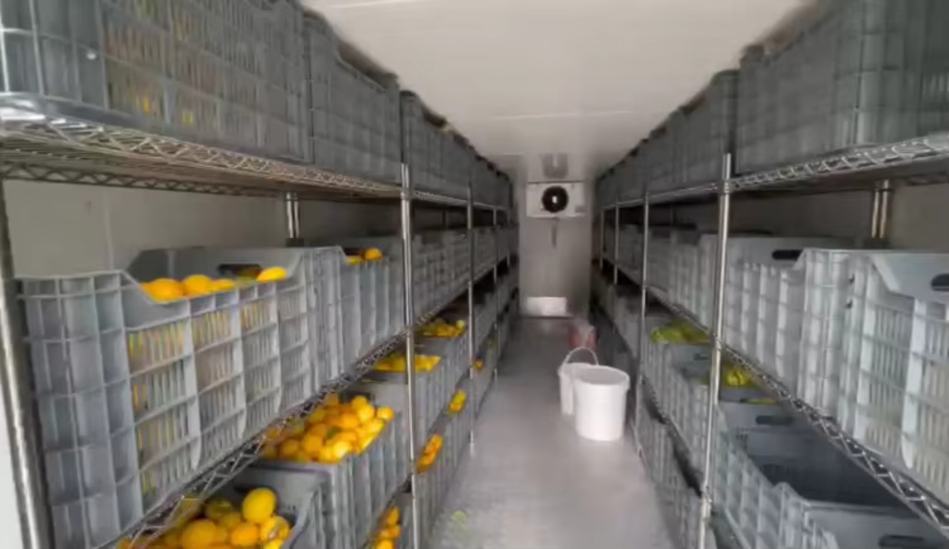 Solar Walk in Cold Storage Roo - Farming Africa review and price