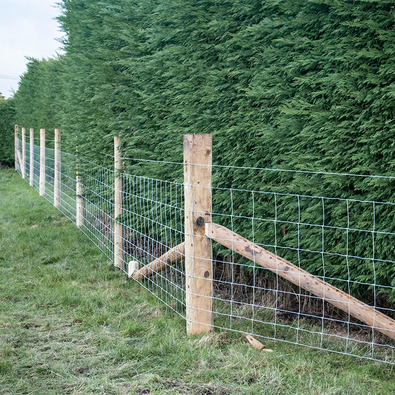 Customized Iron Wire Mesh Fixe - Farming Agriculture review and price