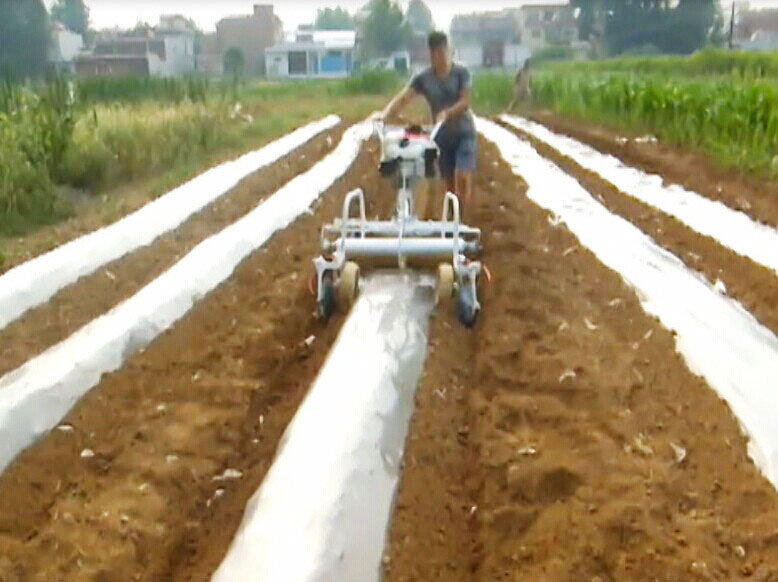 Mini Powered 5HP High Producti - Seed Planter review and price