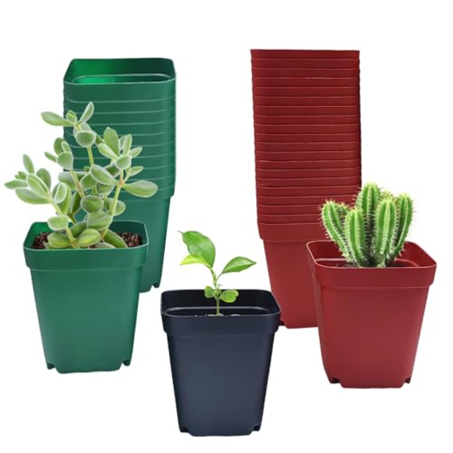 Square Plastic Nursery Pot 3