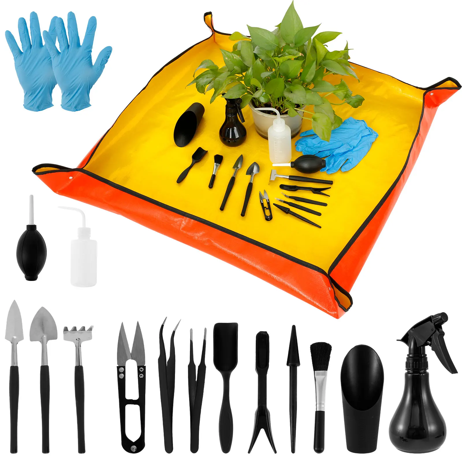 13/16Pcs Garden Succulent Plan - Seed Planter review and price