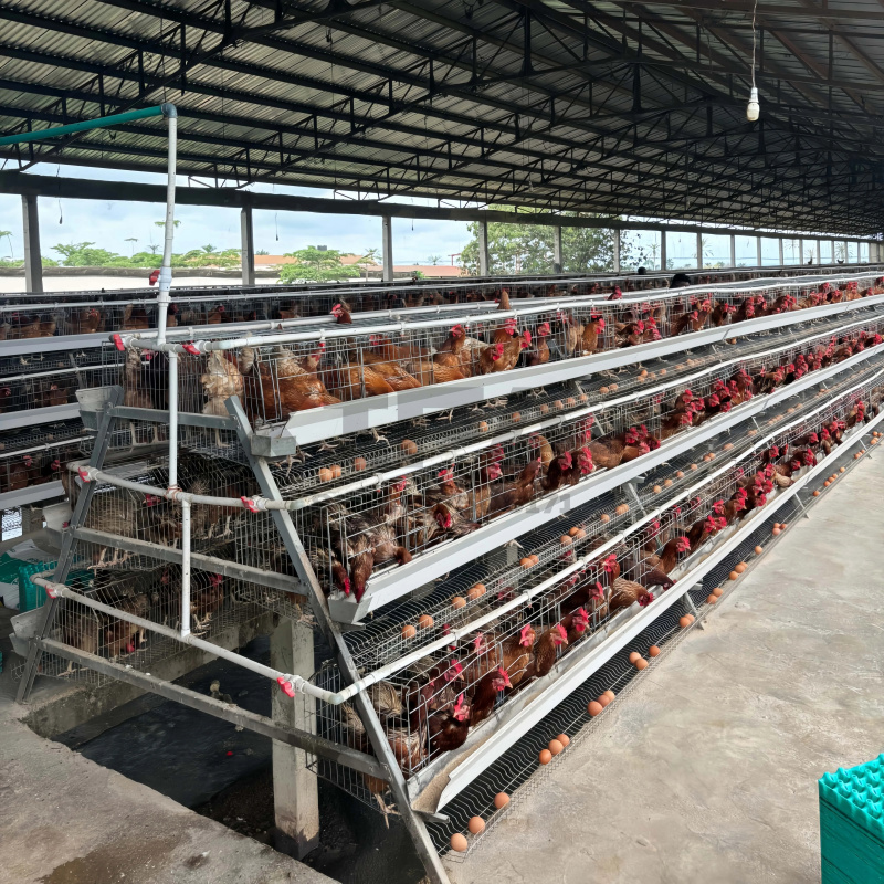 Machinery Sale In South Africa - Farming Africa review and price