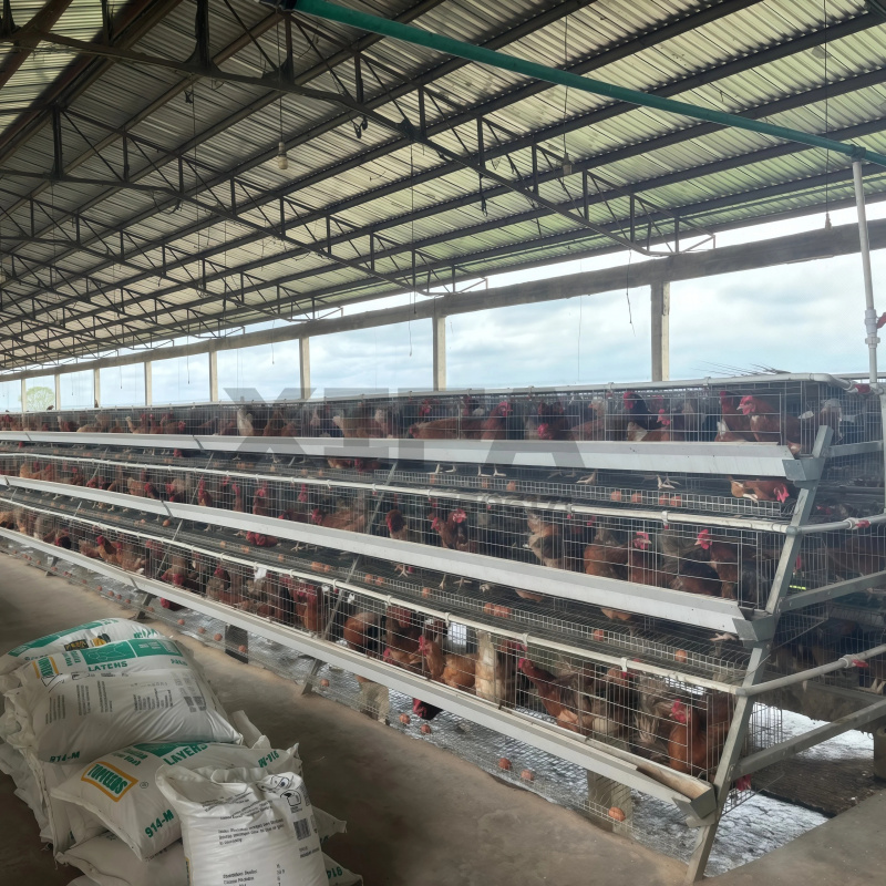 Machinery Sale In South Africa - Farming Africa review and price