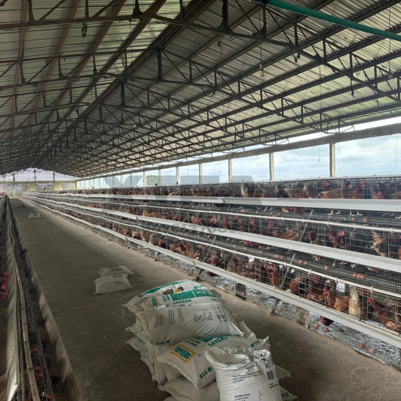 Machinery Sale In South Africa - Farming Africa review and price