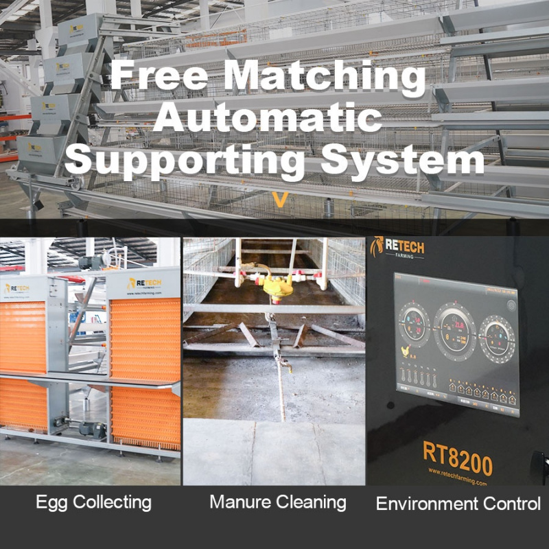 Automatic A Type Layer Chicken - Farming Africa review and price