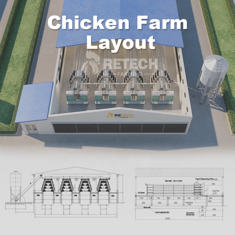 Automatic A Type Layer Chicken - Farming Africa review and price