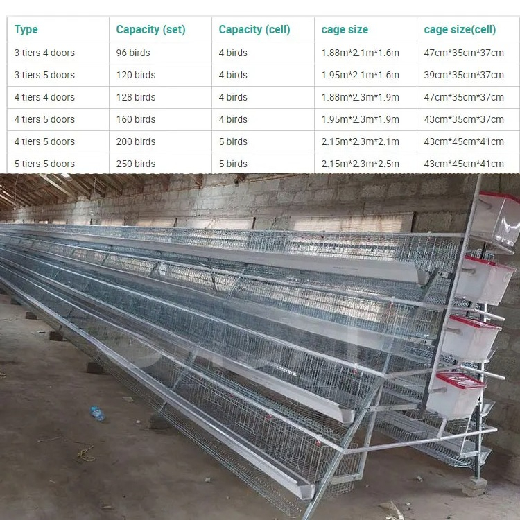 Poultry Farm 10000 Birds Layer - Farming Africa review and price