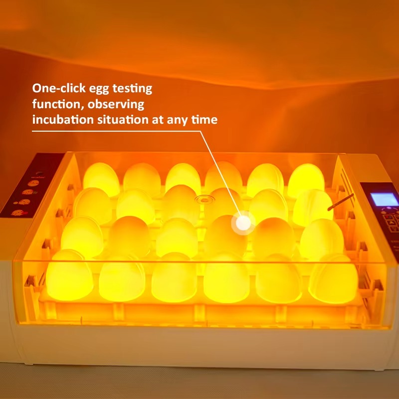 20S Mini Poultry  Candling Tes - Farming Africa review and price