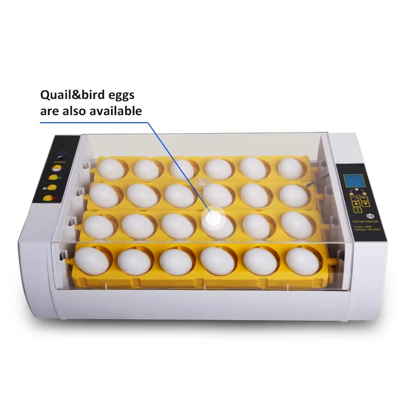20S Mini Poultry  Candling Tes - Farming Africa review and price