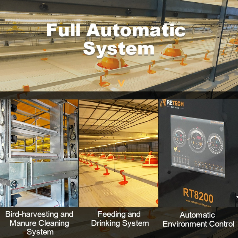 Hot Selling Automatic Chicken  - Farming Africa review and price